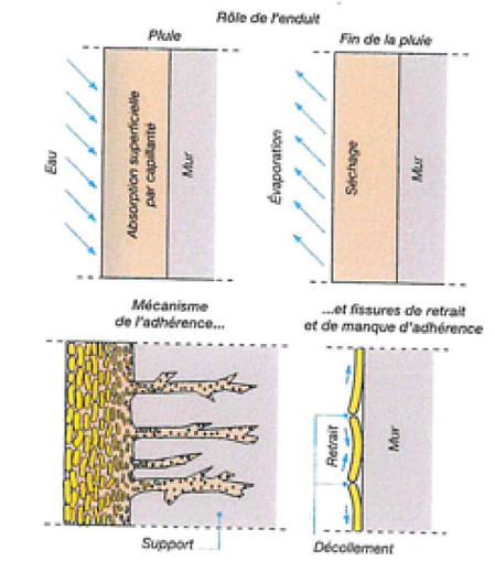 Schéma Rôle de l'enduit